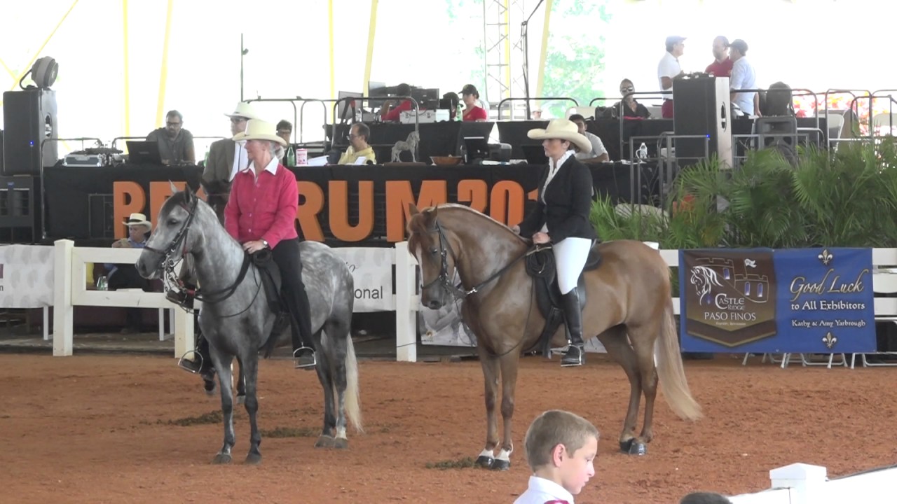 2017 Spectrum Paso Fino Horse Show class 150 pleasure 4yr fillies