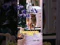 「あなたのペースでいいからね」