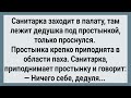 Как Санитарка Дедушке Под Простынку Залезла! Сборник Свежих Анекдотов! Юмор!