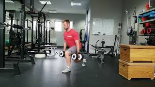 DB Step Back Lunge (Eccentric) - FAT