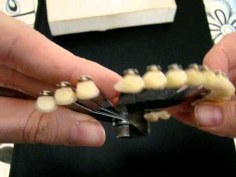 Dentsply Dental lab Shade Guide acrylic BIODENT DeTrey Guide teeth ...