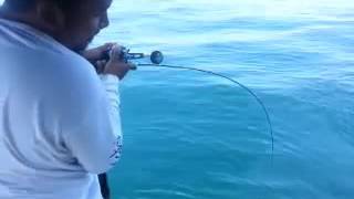 Abu Garcia salty stage krx light jigging SXLC - 632 - 150 - KR + 