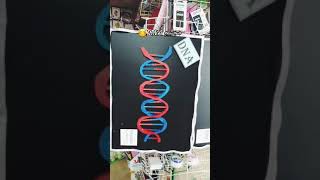 مجسم DNA