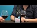 Dégustation // Domaine la Bonnelière - La Gourmandine 2016