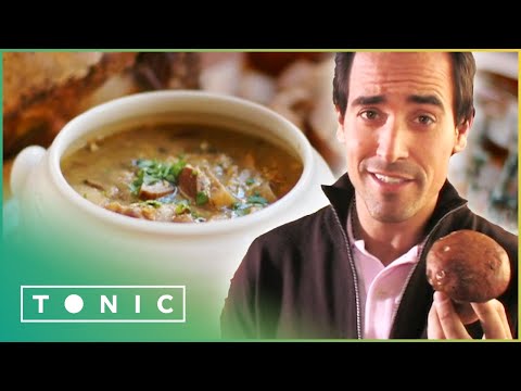 How To Make a Delicious Porcini Mushroom Soup | David Rocco&rsquo;s Dolce Vita | Tonic