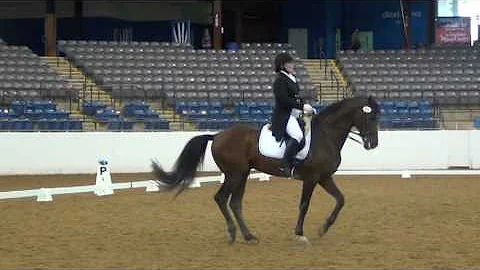 Janna Dyer - Lexington Spring Dressage 2016 - Sunday