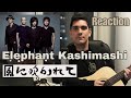 Reaction to Elephant Kashimashi - Kaze ni Fukarete 【海外の反応】