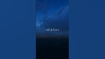 يا حسرة على العباد | القارئ شريف مصطفى #تلاوة_خاشعة