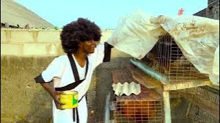 Gone are Those Days in the Kungfu County