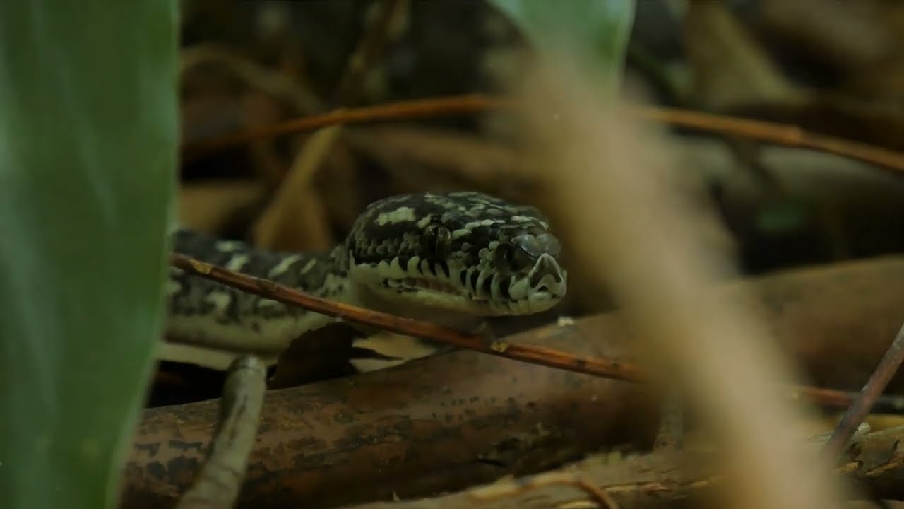 South Carolina's Top Hiking Trails