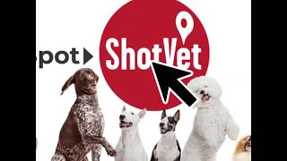 Why Do Pet Parents Love ShotVet