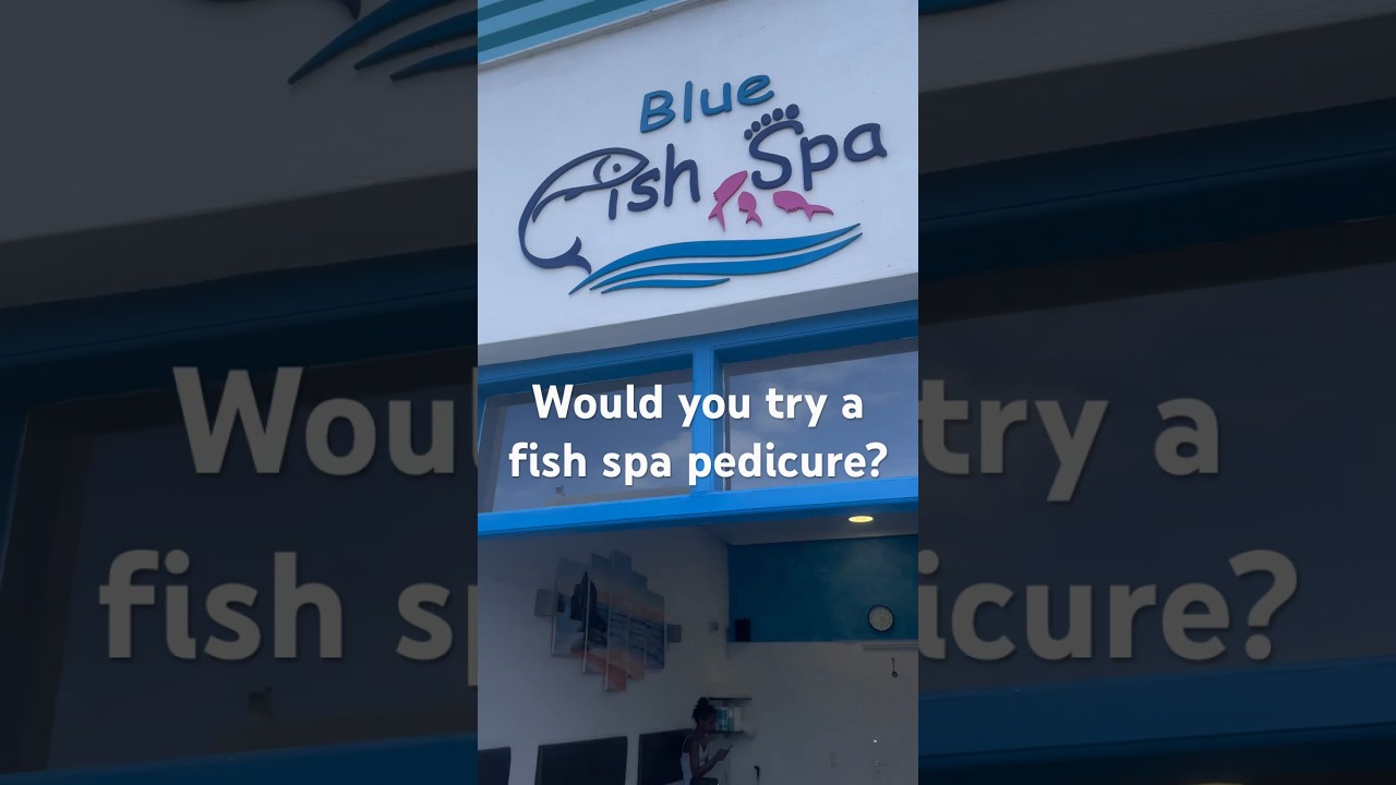 Would you try a fish spa pedicure?