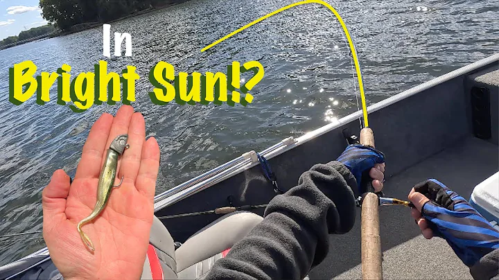 Spotted & Hybrid Frenzy! (Fall) L. NORMAN