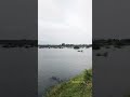 #village #nature #shortsfeed #shortsstory #shortstamil #shortstrending #shortsvideo #shortsviral
