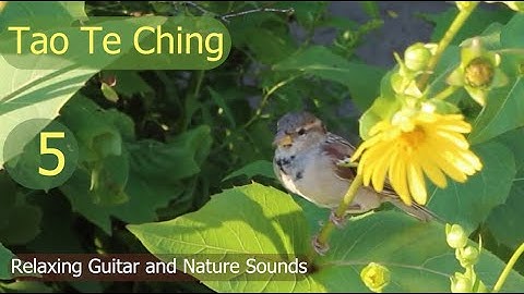 Tao Te Ching - Chapter 5 - With Relaxing Guitar and Nature