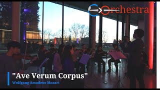 Ave Verum Corpus, Mozart - Orchestra