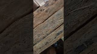 400 year old barn wood! Which will be made into some Georgian barncasters.
