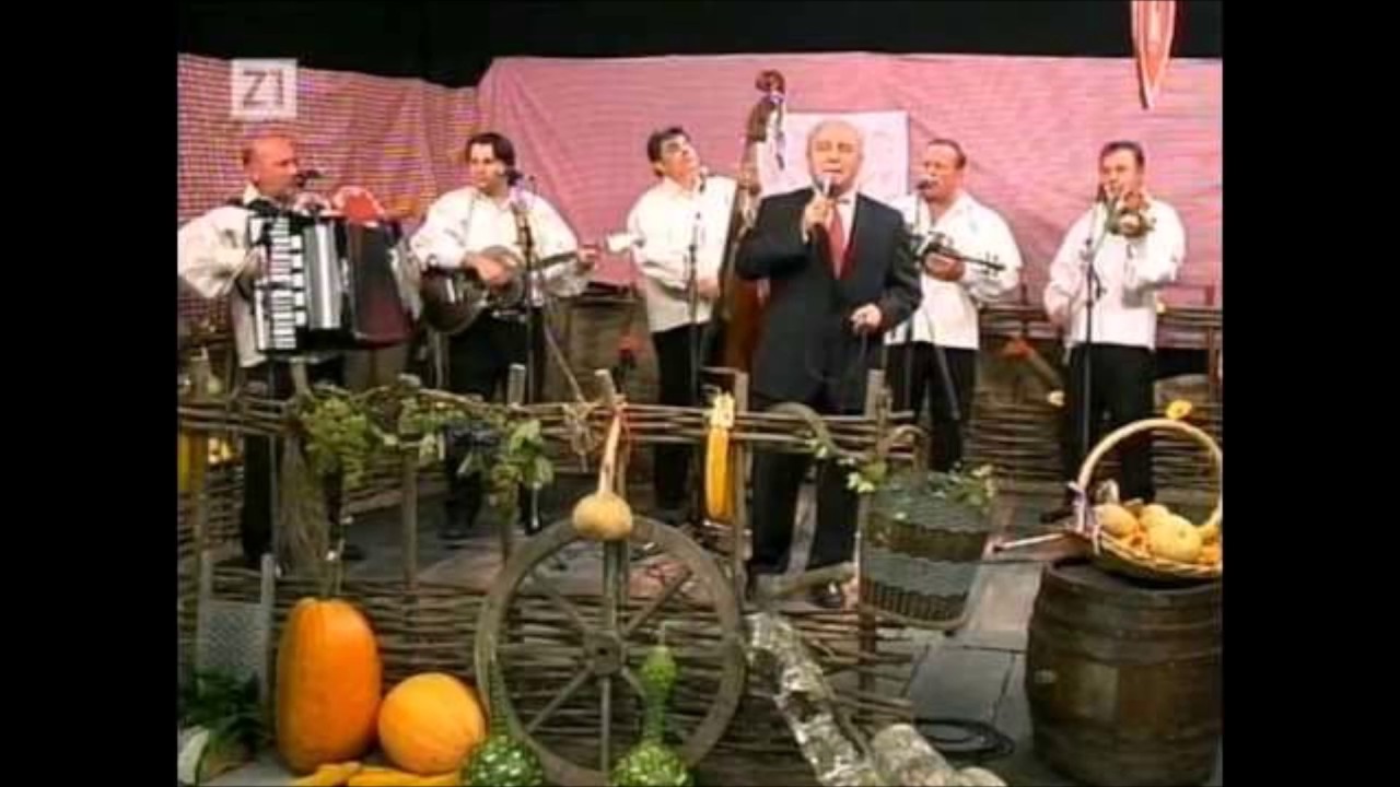 Haubiksi-Sliku tvoju ljubim