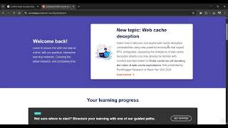 Portswigger (Web Security Academy) Learning Patth