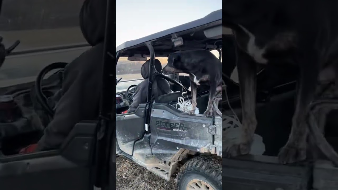 We stay busy and blessed 