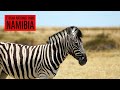 Etosha National Park, Namibia - Süden | Etosha South