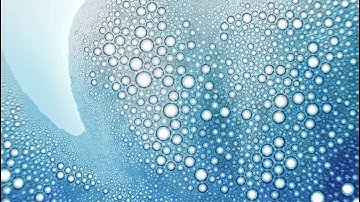 Macro Timelapse Tests