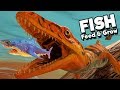 Feed and Grow Fish Gameplay German - Aigialosaurus Max Level