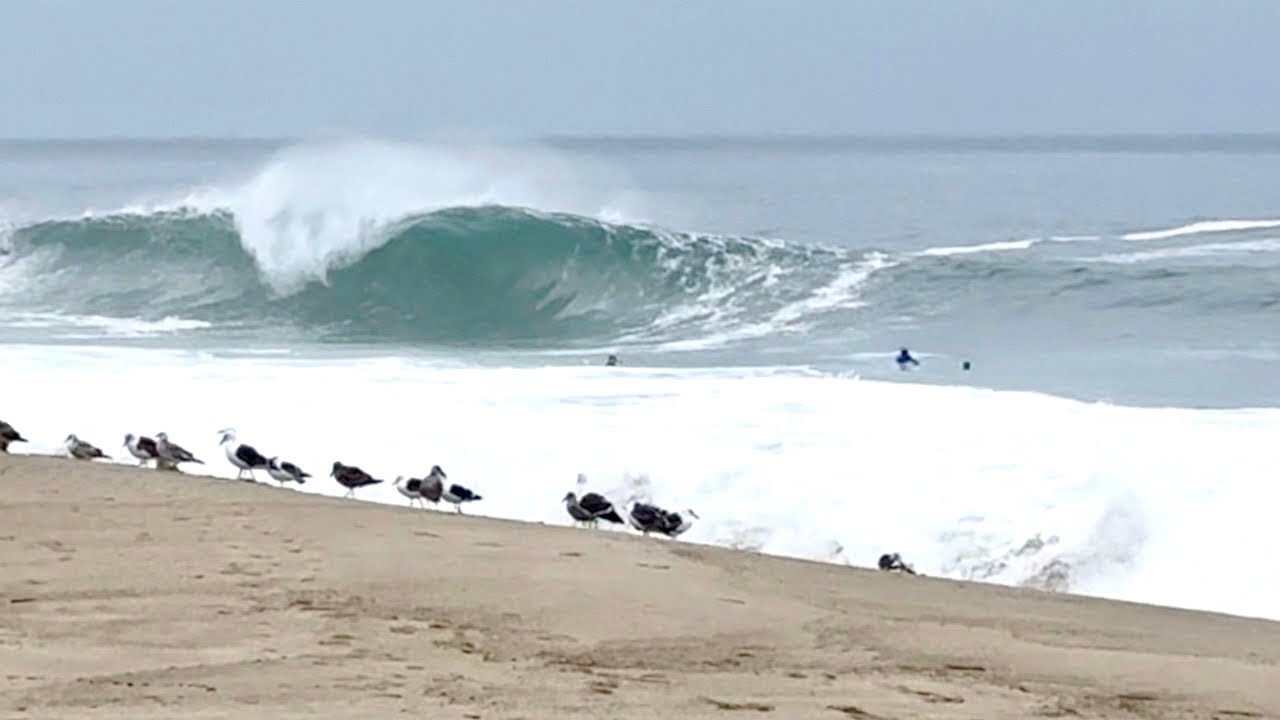 Surfers and Skimboarders charge first swell at Aliso Shorebreak! (RAW
