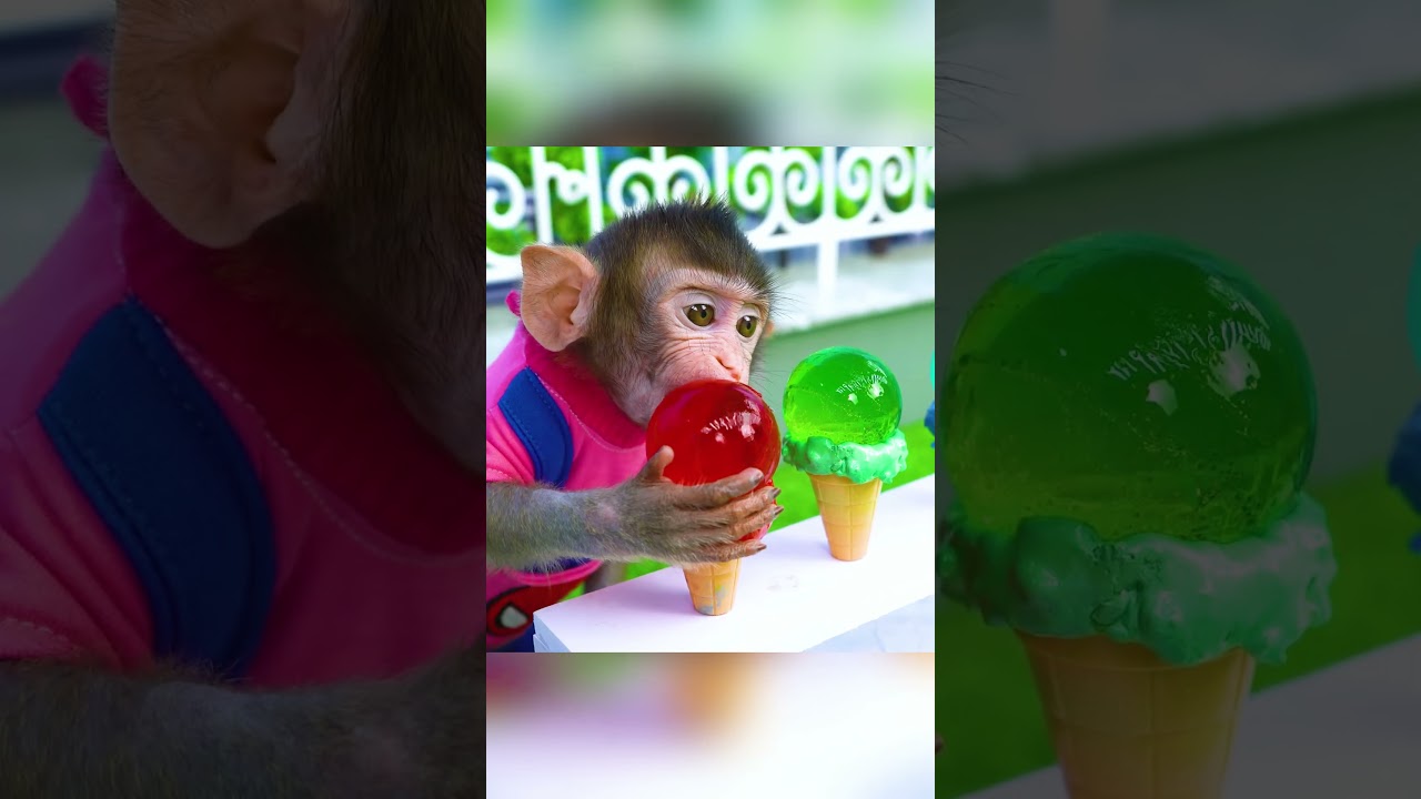 Coca monkey eats colorful ice cream