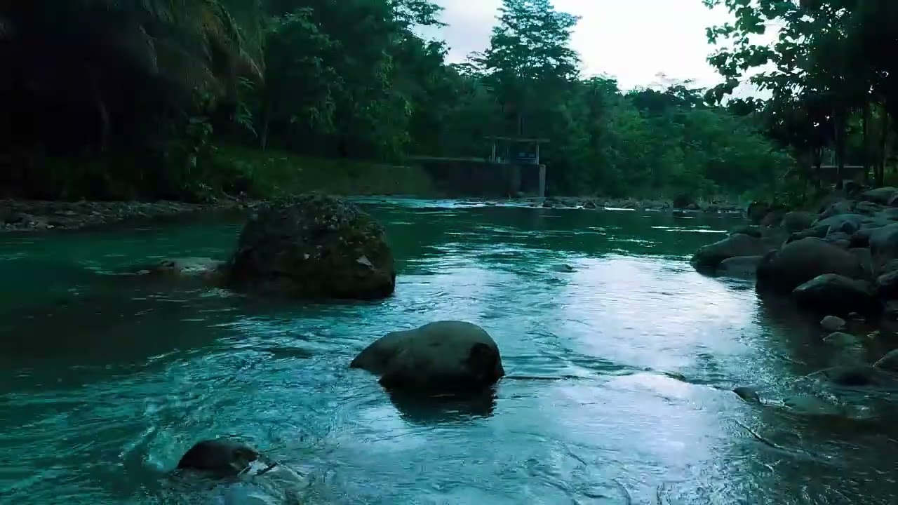 Peaceful Flowing River Sounds – Natural ASMR for Focus and Study