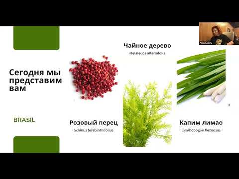 Превью видео 2 из архива Магии Флоры