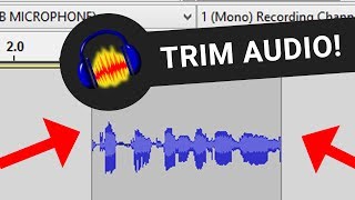 how to trim audio in audacity Resimi