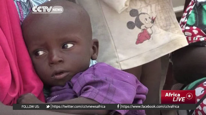 Around 50,000 children in Borno state at risk of starvation