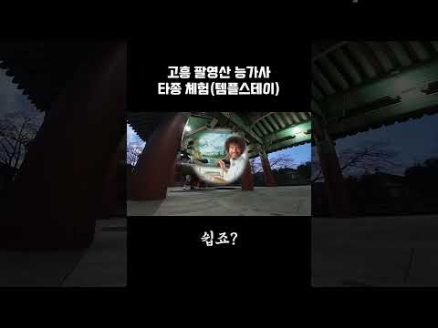 #shorts 새해에는 종치고 성불하세요 (대신 30번 쳐야함)