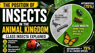 Arthropod Characters | Entomology - Insects