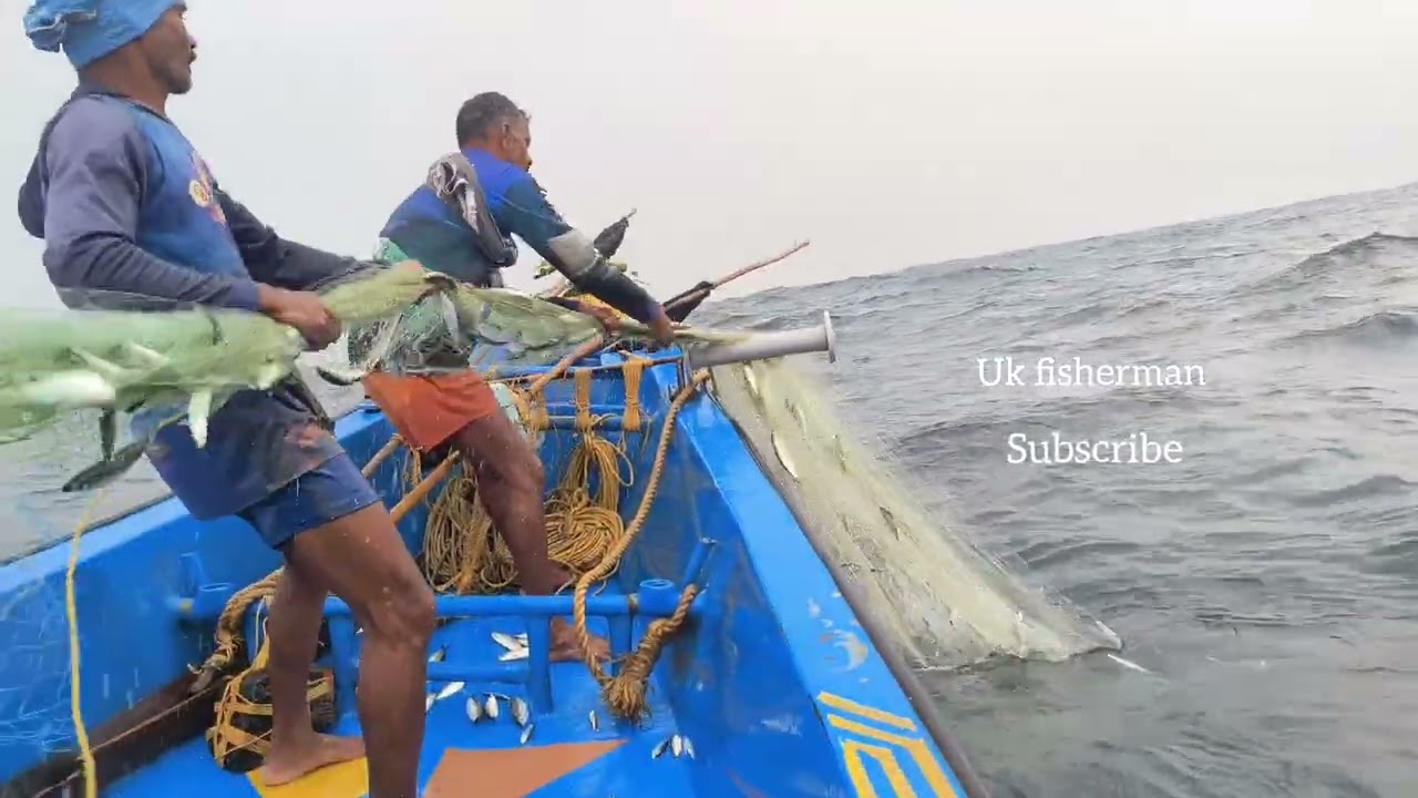 கஷ்டப்பட்டு போனதுக்கு பலன் கிடைச்சிருக்கு#ukfisherman #fishing #fishinglife #tnfishermen #seafood 