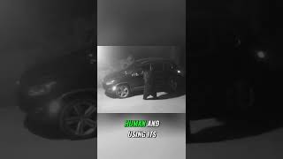 Bear Opens Car Door Like Human! Animal Antics Caught on Camera #shorts