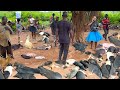 AKLAKOU Rural African Market Day In Togo Village West Africa Cost Of Living In Africa 