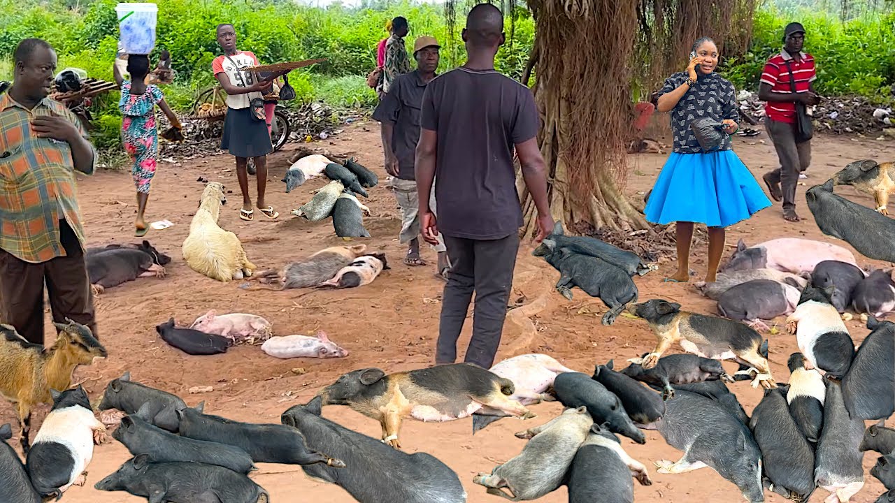 AKLAKOU Rural African market day in Togo village west Africa : Cost of living in Africa
