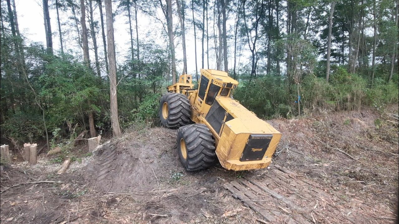 DSL- Heavy Equipment Felling Trees - YouTube