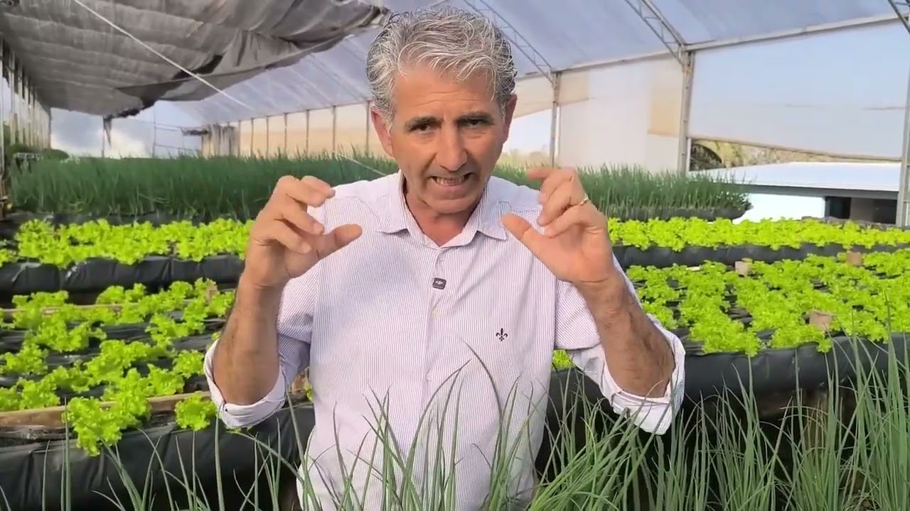 ESTE E O PONTO PRINCIPAL PARA O SUCESSO DA SUA HORTA