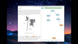 Concept Mapping Tutorial