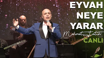 Mehmet Fatih - Eyvah Neye Yarar