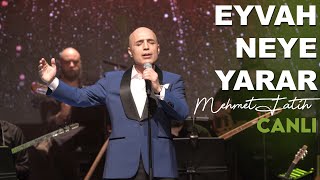 Mehmet Fatih - Eyvah Neye Yarar