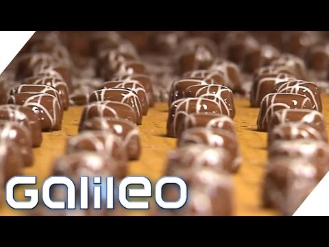 Herstellung der Mini-Praline | Galileo | ProSieben