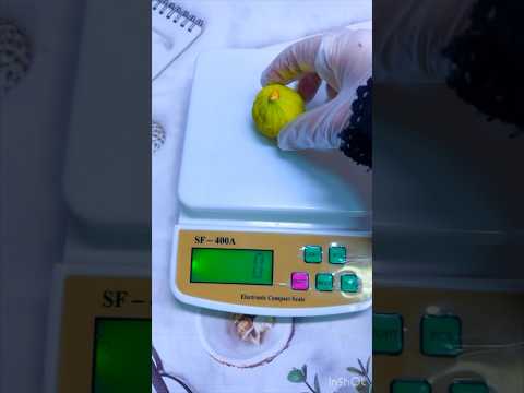 السعرات الحرارية في التين اكسبلور 