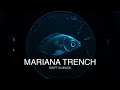 What You Would Discover at the Bottom of the Mariana Trench | Science for Sleep