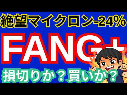 絶望　マイクロン-24％　FANG+損切りか？買いか？