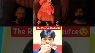 This Rooster Exposed the Real Thief💀#caketraining
