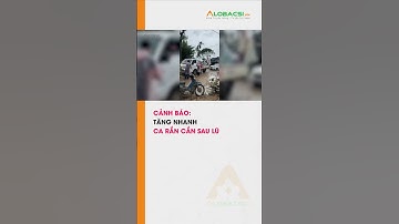 CẢNH BÁO: TĂNG NHANH CA RẮN CẮN SAU LŨ #alobacsi